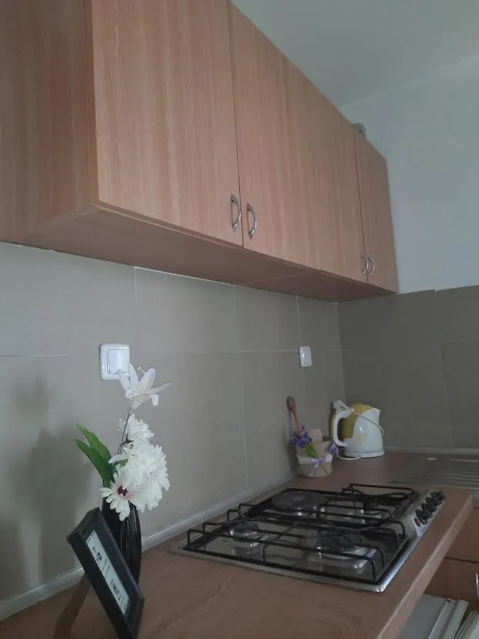 Leon Apartment Lopar
